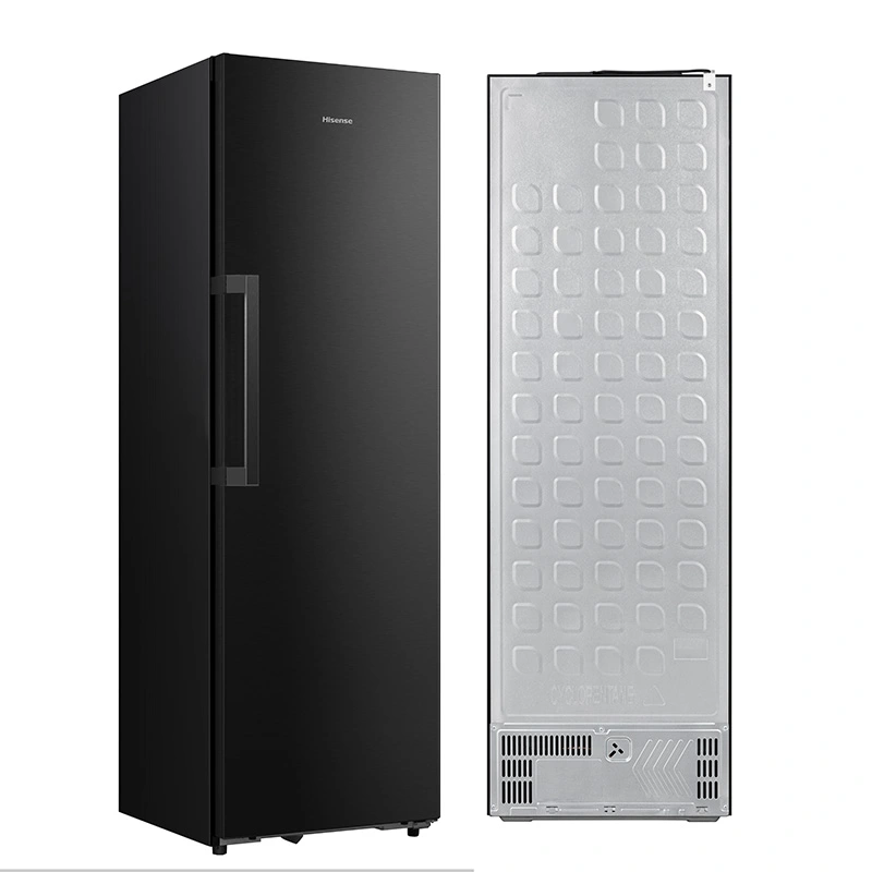 Hisense RL5K370GSFD 373L PureFit side and back